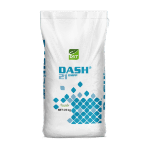 Dash 21