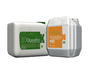 quadro