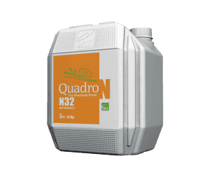 quadro n32