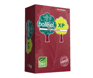 bolikel