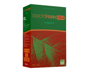 doctoferro-525