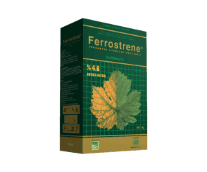 ferrostrene